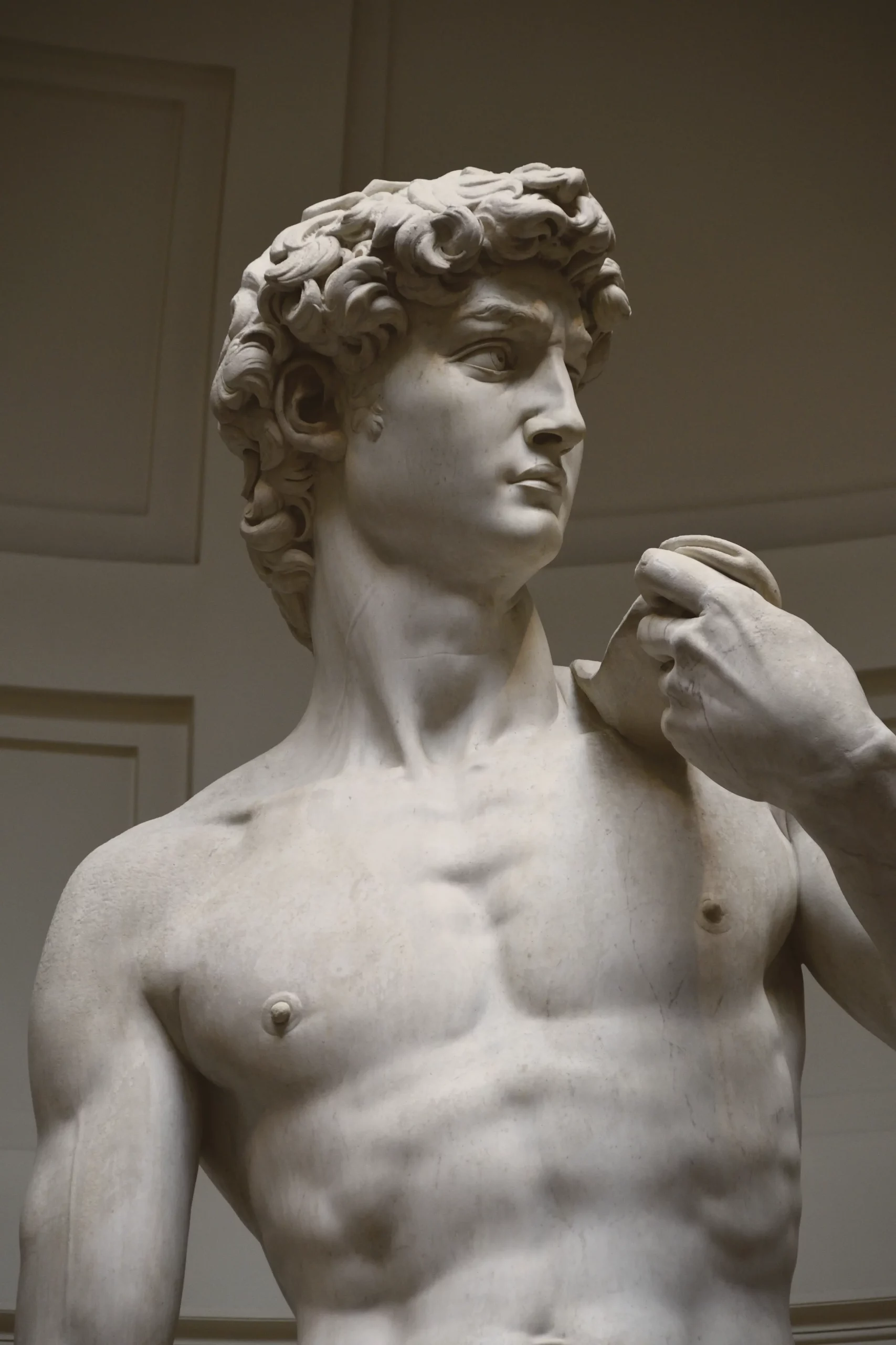 david-4651157_b